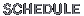 スケジュール